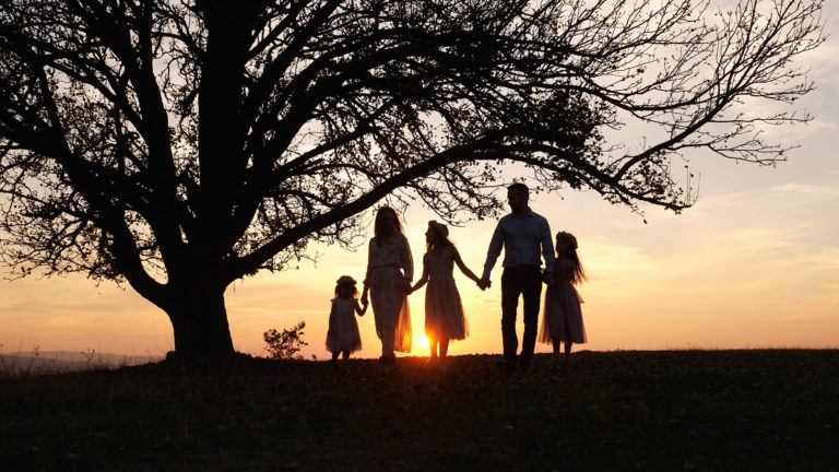 A family holding hands, walking together at sunset under a tree